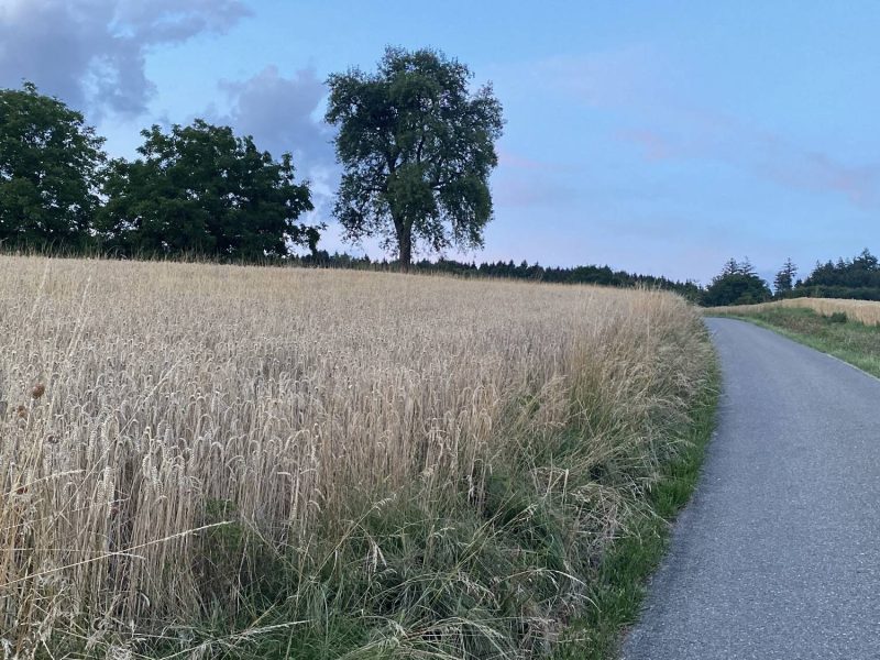 aaa_8707CA1B-C8E5-44D3-AD6A-0E1FDC8DD7A2